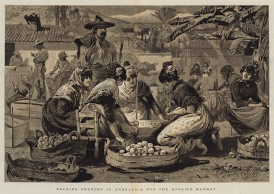Orangenverpackung in Andalusien für den englischen Markt von Edwin Buckman